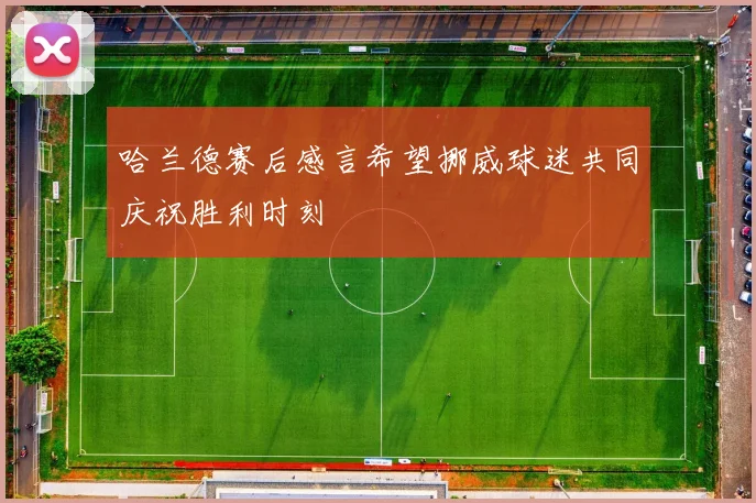 哈兰德赛后感言希望挪威球迷共同庆祝胜利时刻